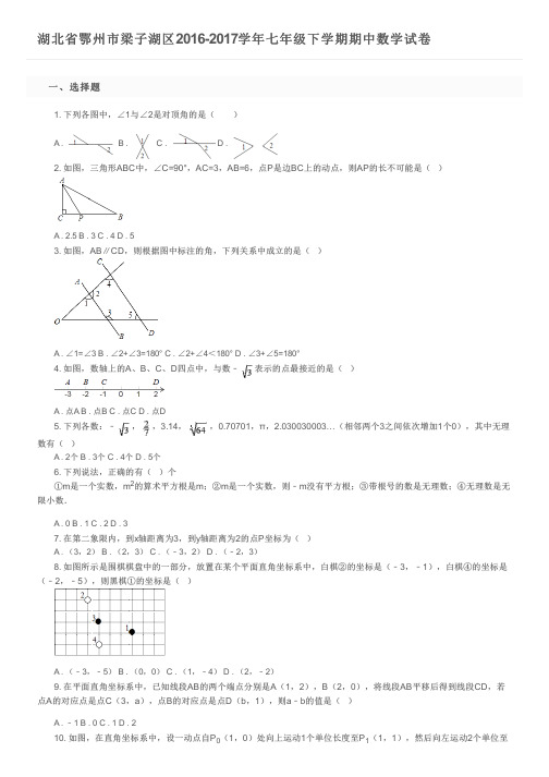 湖北省鄂州市梁子湖区2016-2017学年七年级下学期期中数学试卷及参考答案