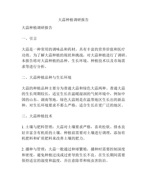 大蒜种植调研报告