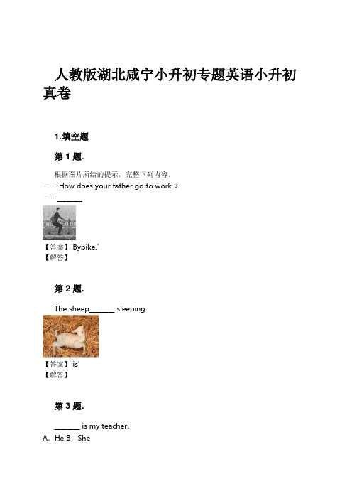 人教版湖北咸宁小升初专题英语小升初真卷试卷及解析