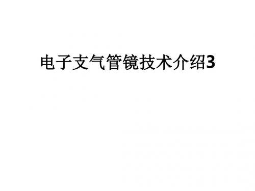 电子支气管镜技术介绍3ppt课件