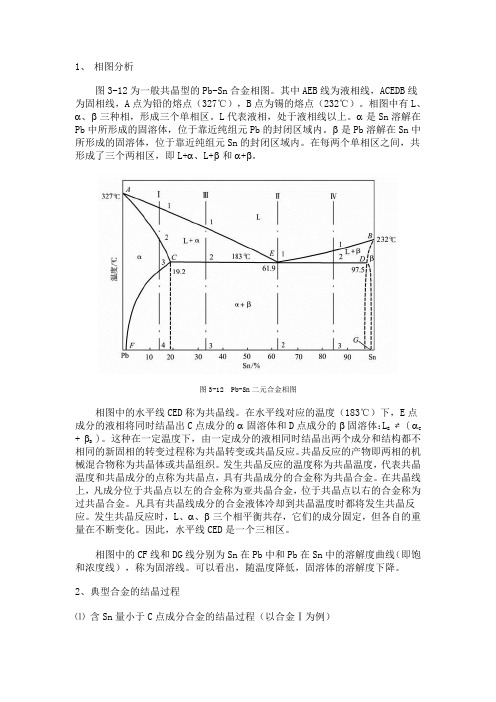 铅锡共晶相图分析