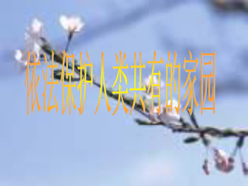 依法保护人类共有的家园优质课件PPT