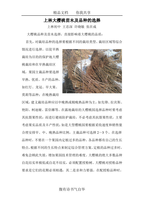 樱桃苗木及品种的选择