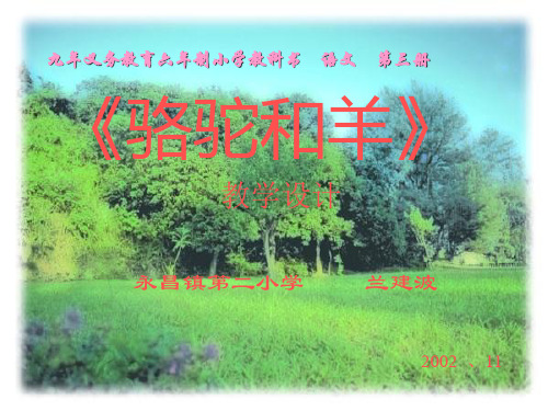骆驼和羊PPT课件