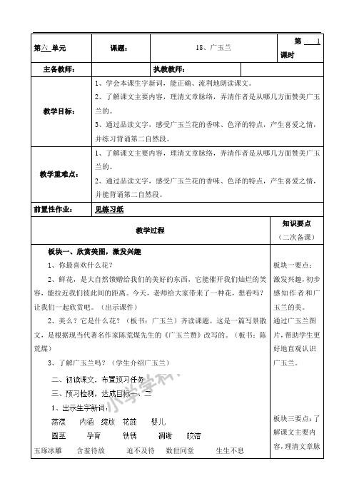 六年级下语文教案-18广玉兰-
