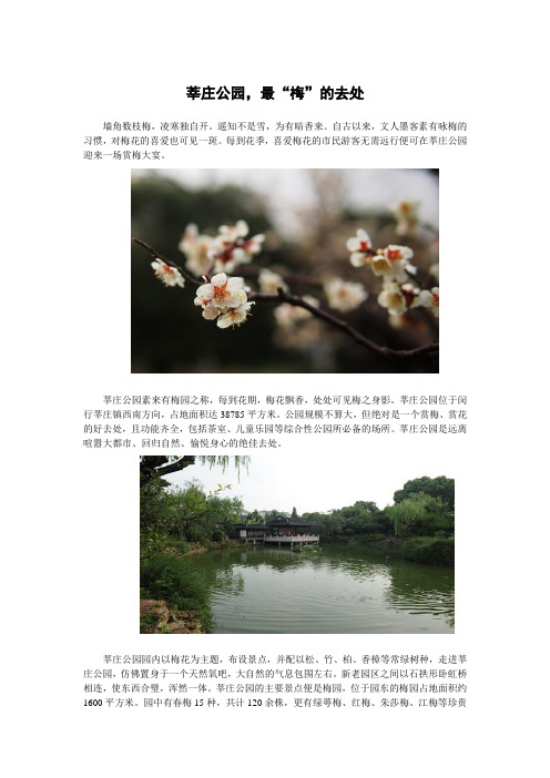 莘庄公园,最“梅”的去处