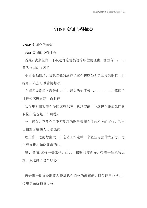 VBSE实训心得体会