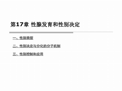 性腺发育与性别决定