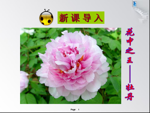 第三节  开花和结果