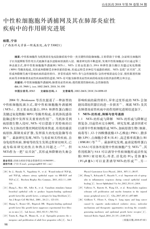 中性粒细胞胞外诱捕网及其在肺部炎症性疾病中的作用研究进展