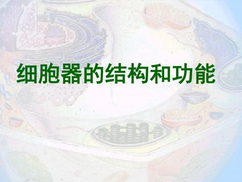 《细胞器的结构和功能》PPT课件2 人教课标版