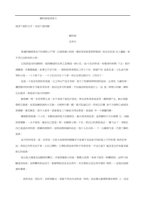 蝉的卵阅读练习