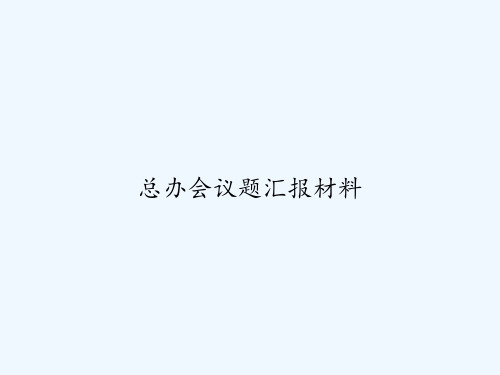 总办会议题汇报材料 PPT