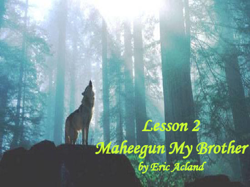 Maheegun My Brother课件