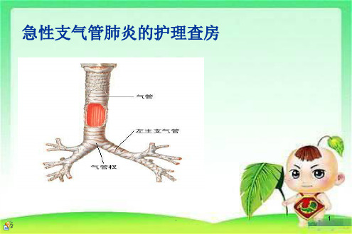 小儿急性支气管炎的护理查房ppt课件(1)