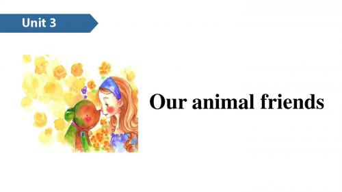 五年级上册英语课件-Unit 3 Our animal friends B∣译林版(三起) (共13张PPT)