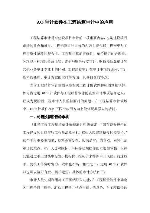 AO软件在结算审计中的应用