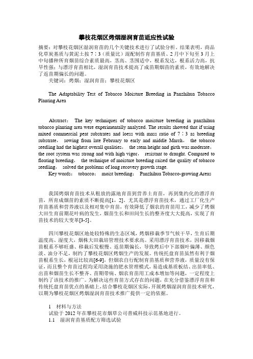 攀枝花烟区烤烟湿润育苗适应性试验