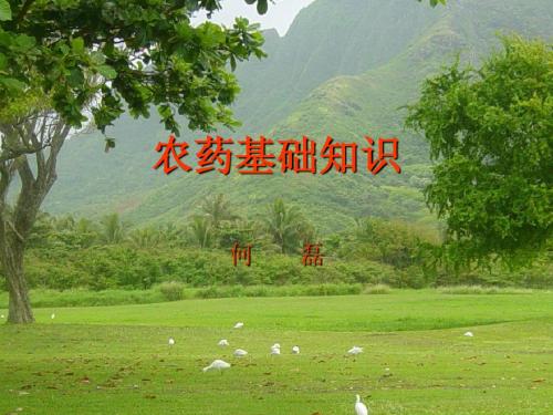 农药基础知识讲稿