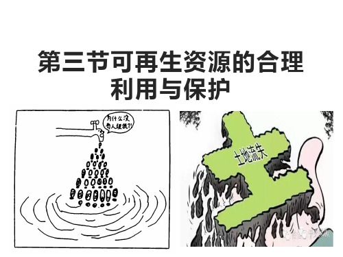 人教版选修6环境保护第三章第三节可再生资源的合理利用与保护课件(共41页)