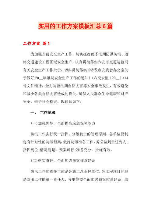 实用的工作方案模板汇总6篇