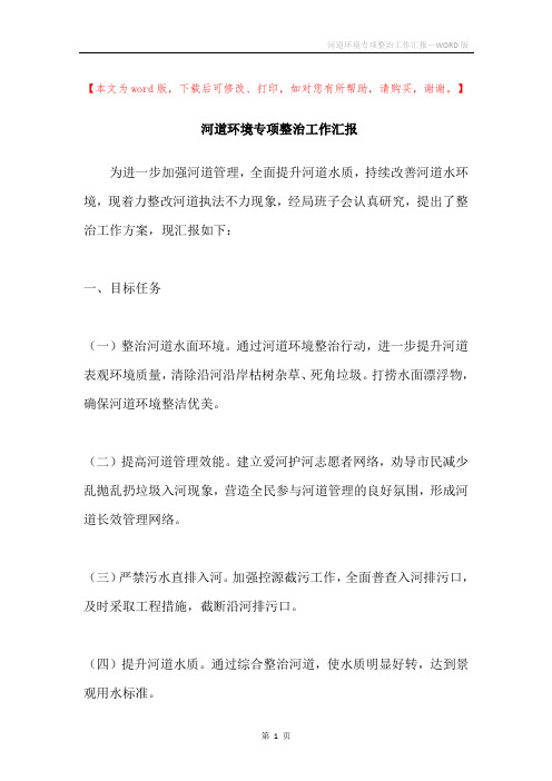河道环境专项整治工作汇报