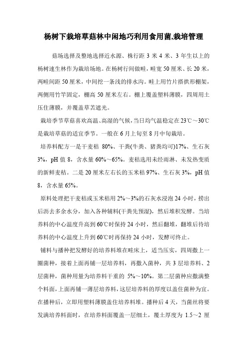 杨树下栽培草菇林中闲地巧利用食用菌(栽培管理)
