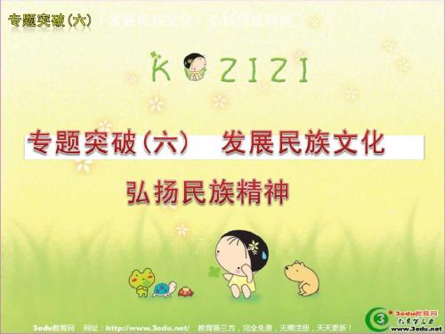 中考政治专题突破复习----发展民族文化,弘扬民族精神