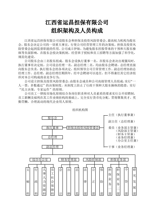担保公司组织架构、风险控制及业务操作流程