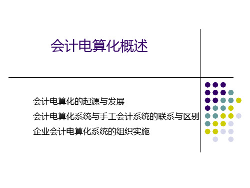 1.第一章 会计电算化概述