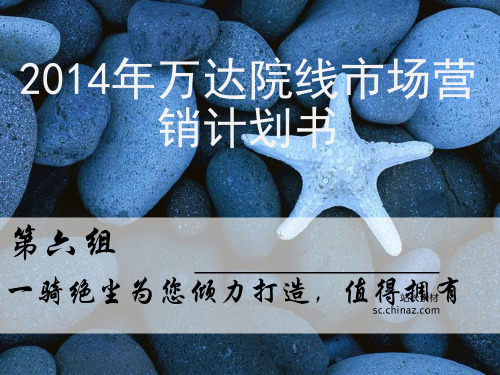 万达影视城计划书ppt