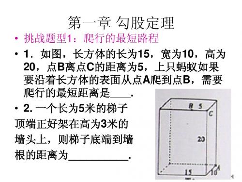 八年级第一学期期中考试考前复习知识梳理