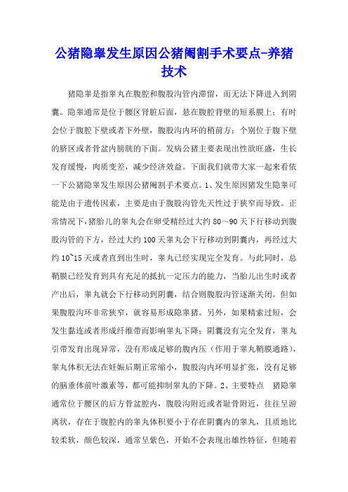 公猪隐睾发生原因 公猪阉割手术要点 - 养猪技术