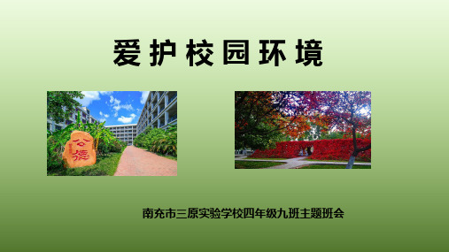 主题班会《爱护校园环境》课件