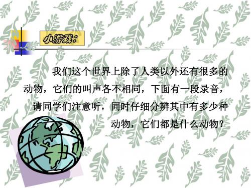 人体对外界环境的感知——耳和听觉高品质版