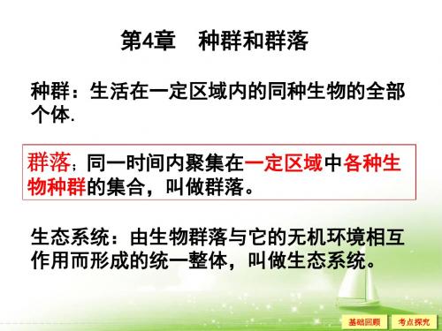 种群的特征和种群数量变化复习课件