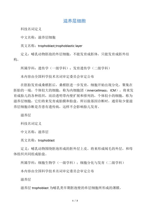滋养层细胞
