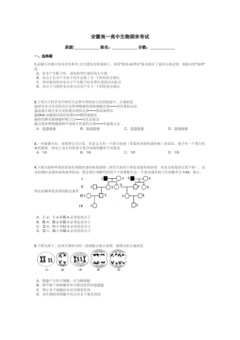 安徽高一高中生物期末考试带答案解析
