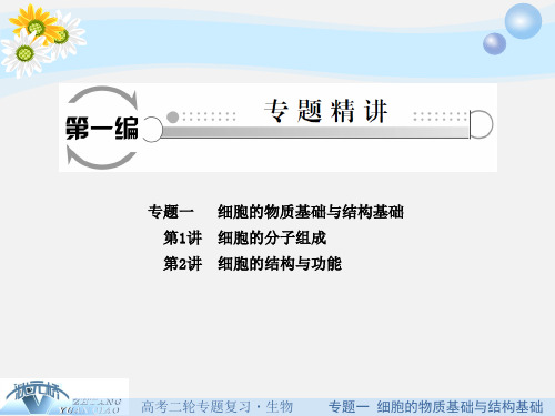 高三生物 二轮复习 专题精讲一 细胞的物质基础与结构基础 第1讲 细胞的分子组成课件