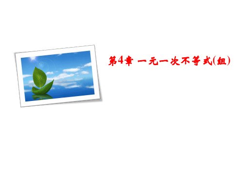 秋湘教版八年级数学上册习题课件：4.5 一元一次不等式组(共12张PPT)