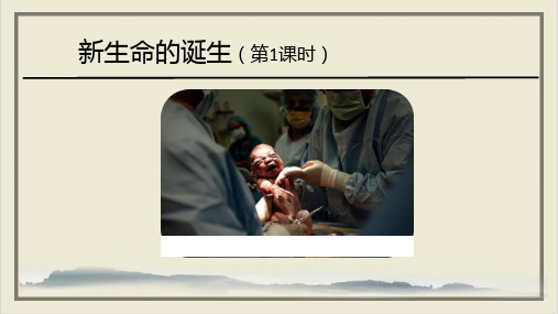 新生命的诞生ppt课件浙教版