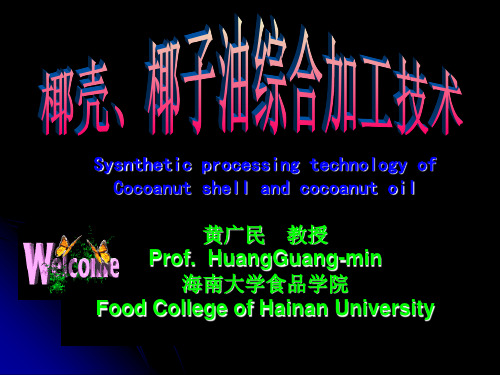 椰壳椰子油加工技术