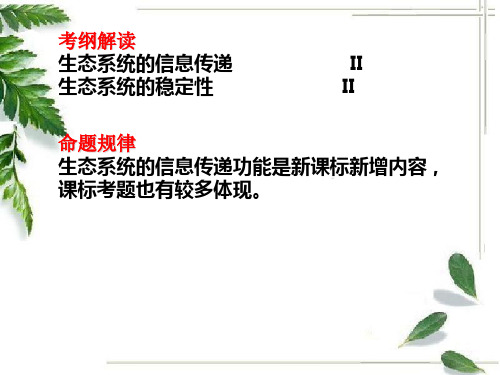 生态系统的信息传递与稳定性