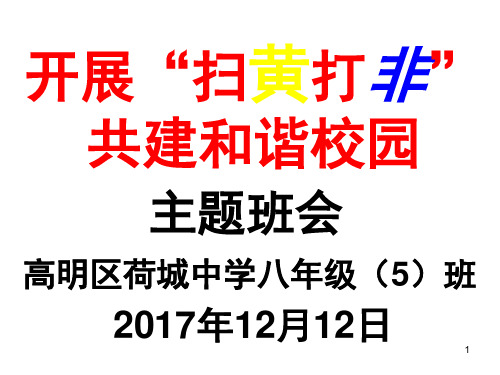 扫黄打非(课堂PPT)