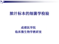 脓汁标本的细菌学检验(实验)