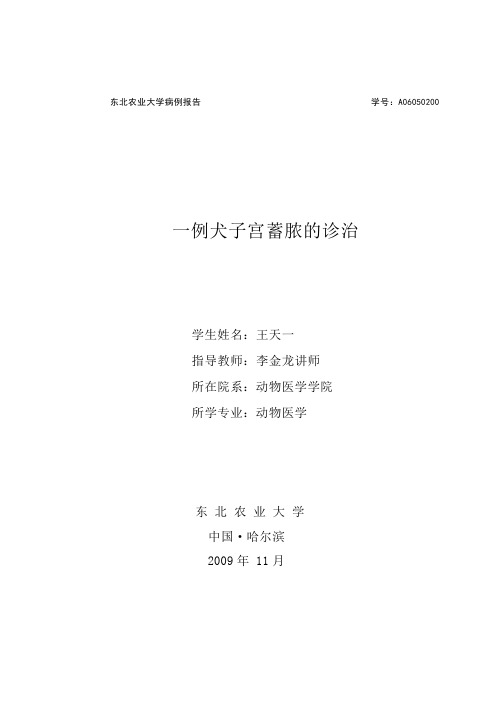 一例犬子宫蓄脓的诊治(答辩)