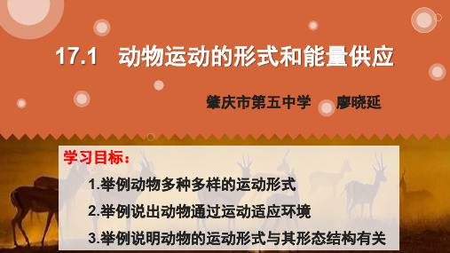 苏教版八年级上册生物《第一节 动物运动的形式和能量供应》(一等奖课件) (2)