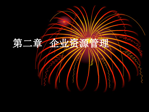 第二章现代企业资源
