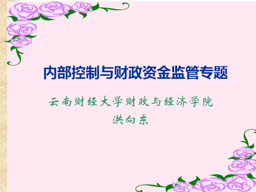 内部控制与财政资金监管PPT演示文稿