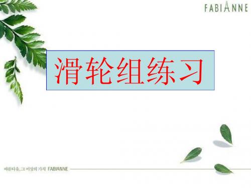 滑轮组练习